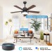 52 Inch Smart Ceiling Fan with Lights, Remote Control &amp; 6-Speed DC Motor, Works with Alexa/Google Home/Siri, 5-Blade Indoor/Outdoor WiFi Ceiling Fan for Living Room/Bedroom, 3 CCT, 3 Timers, Black